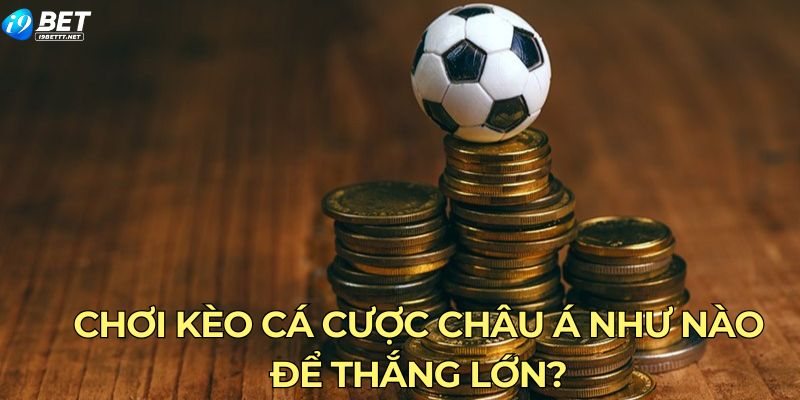 Chơi kèo cá cược châu á như nào để thắng lớn?