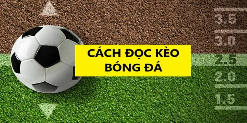 Cách đọc kèo bóng đá